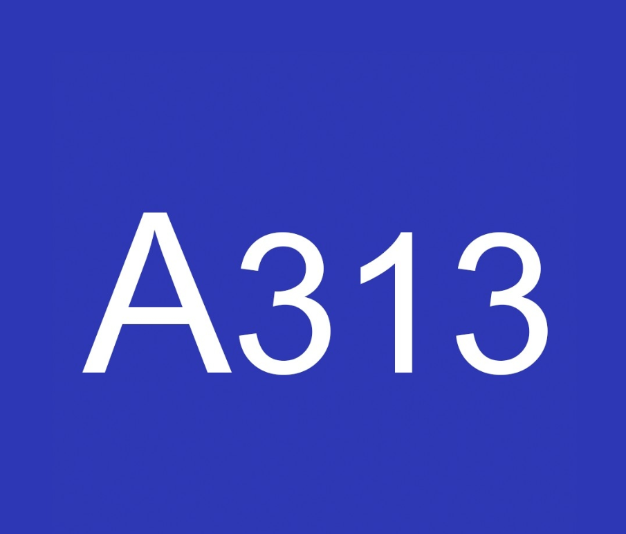 A313